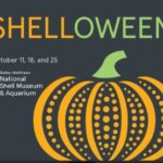 It’s Shelloween Time