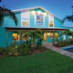 Congratulations To Wicked Dolphin