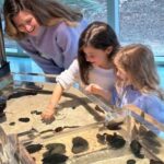 What A Day Planned at The Shell Museum