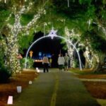 SanCap Chamber Sets Stroll Dates