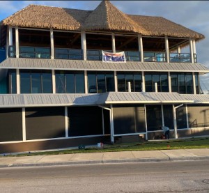 Whale 11 3 2025 (Small)