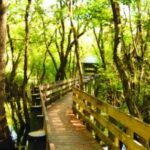 Parks, Points & Perks Returns With New Locations