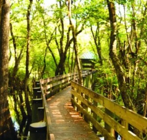 parks (Small)