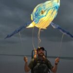 Help Light up Fort Myers Beach