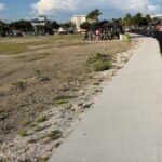 Future Field of Green