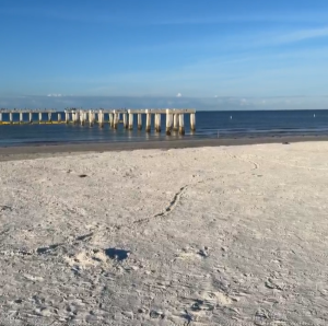 Pier 9 27 26 (Small)