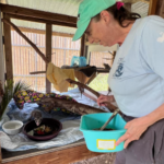 CROW Adds Volunteer Orientation Sessions