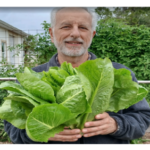 When Do You Start Planting Veggies?